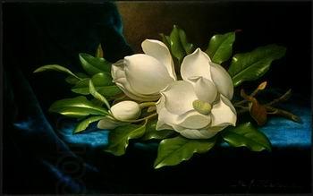 unknow artist Still life floral, all kinds of reality flowers oil painting  65 China oil painting art